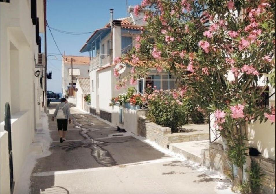 Studios Marin Kokkari Dış mekan fotoğraf